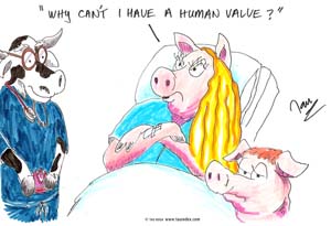 4-Human-valve-card-boga
