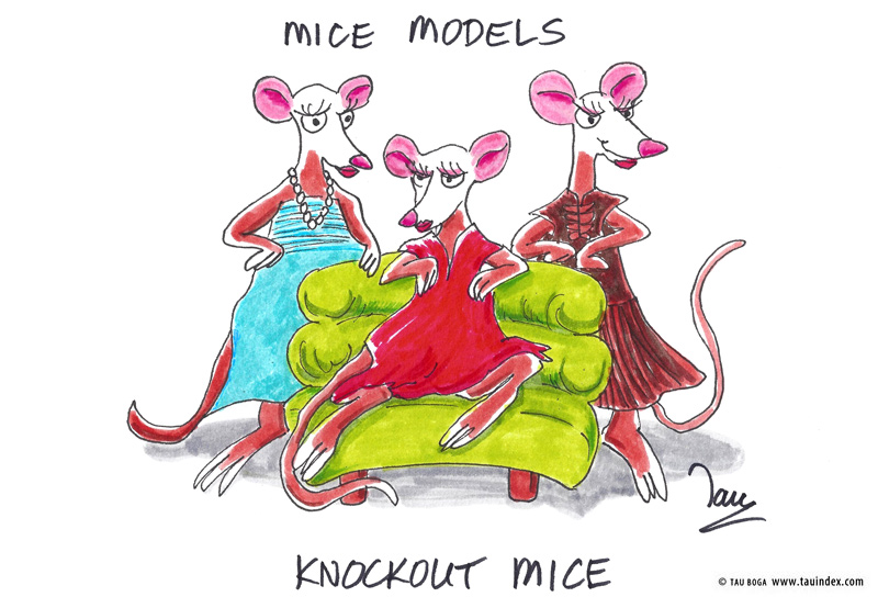 2-knockout-mice-genmed